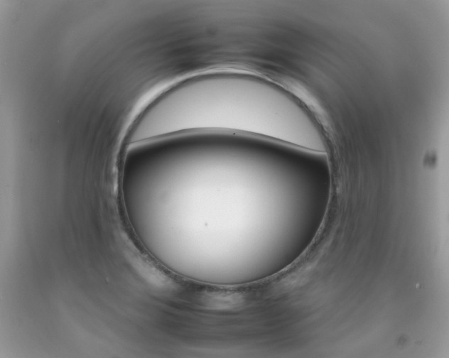 X0000092261372200709141017