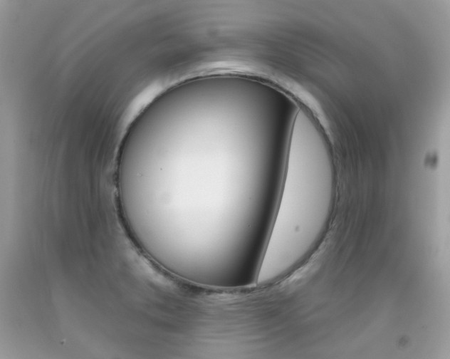 X0000092261373200709141017