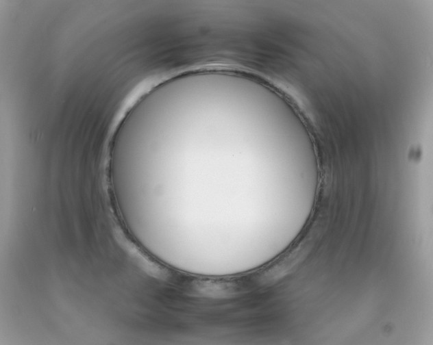 X0000092261374200709141017