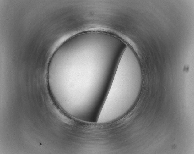 X0000092261375200709141017