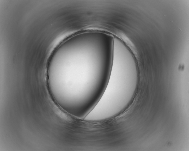 X0000092261376200709141017