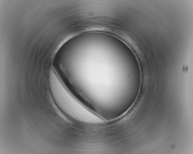 X0000092261377200709141017