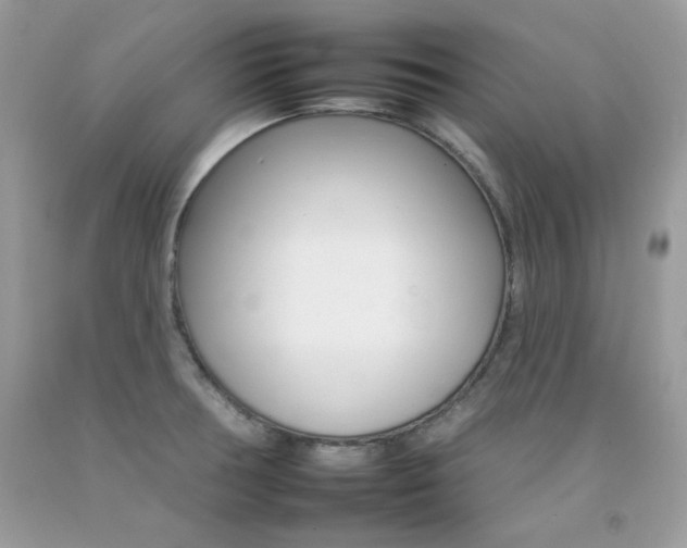 X0000092261378200709141017