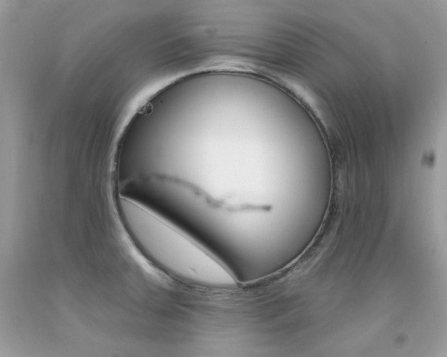 X0000092261379200709141017