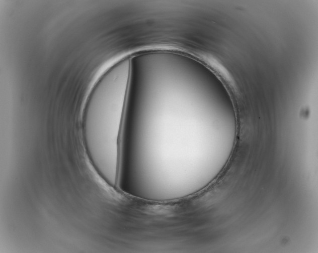 X0000092261380200709141017