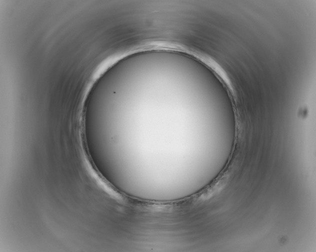 X0000092261381200709141017