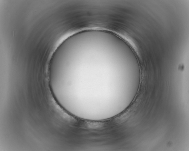 X0000092261382200709141017