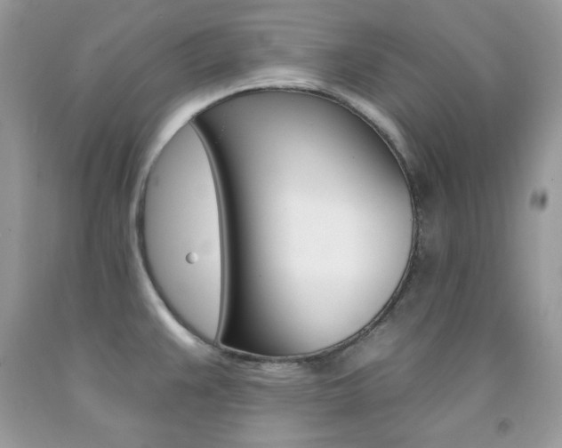 X0000092261383200709141017