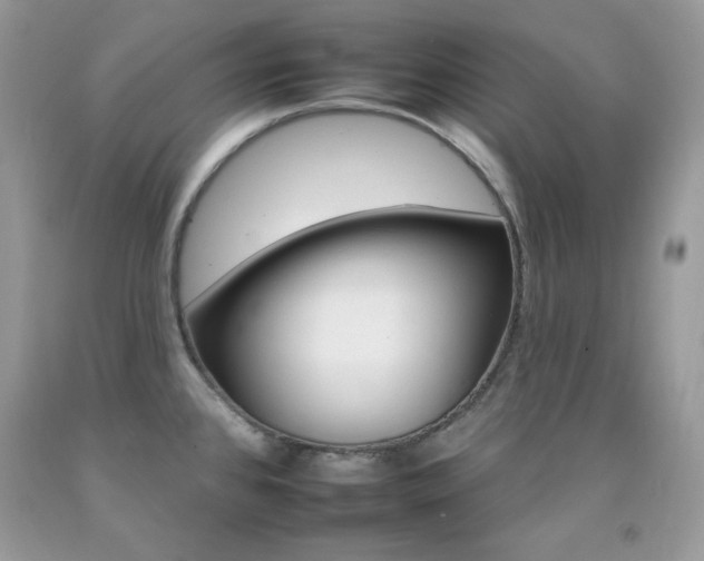 X0000092261384200709141017