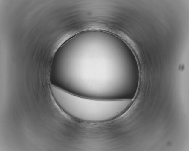 X0000092261385200709141017