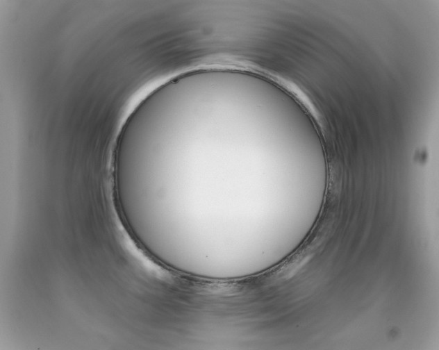 X0000092261387200709141017