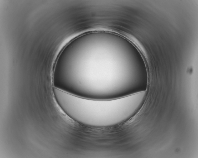 X0000092261388200709141017