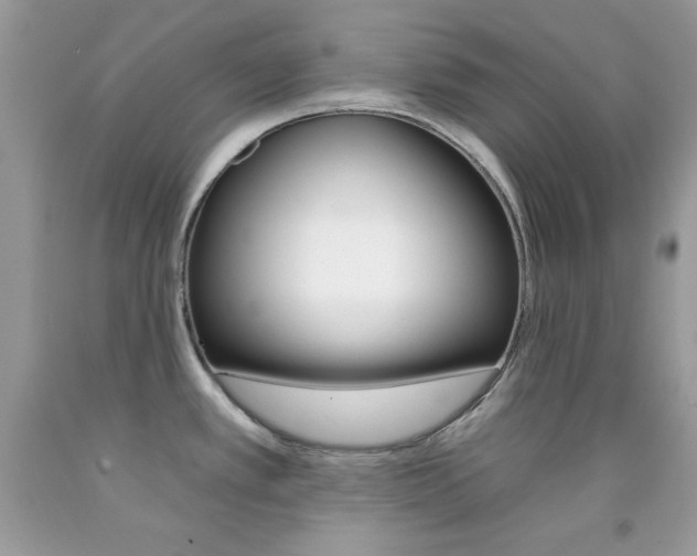 X0000092261389200709141017