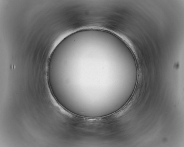X0000092261390200709141017
