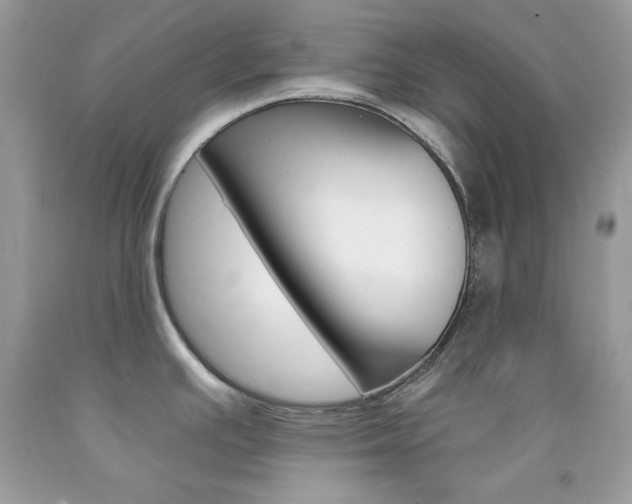 X0000092261391200709141017