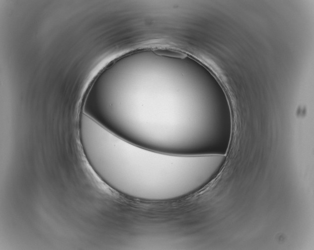 X0000092261392200709141017