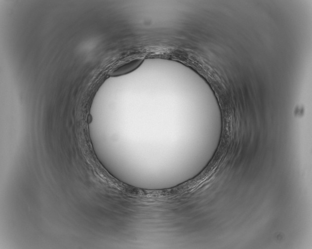 X0000092261393200709141016