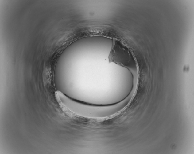 X0000092261394200709141016