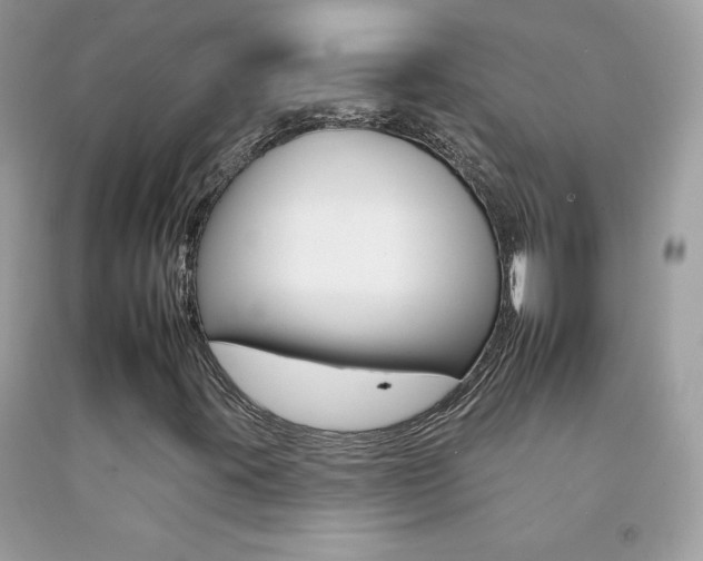 X0000092261395200709141016