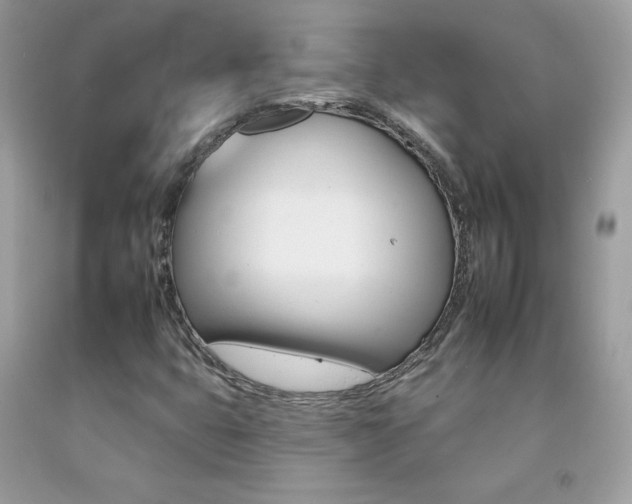 X0000092261399200709141016
