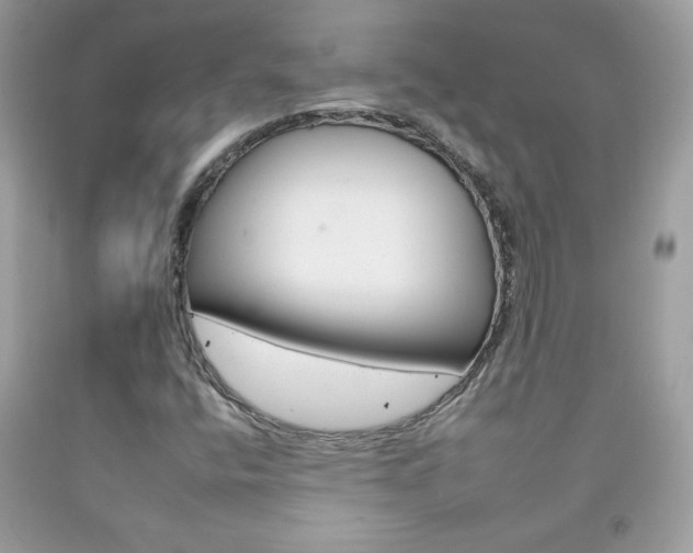 X0000092261400200709141016