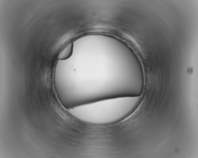 X0000092261403200709141016