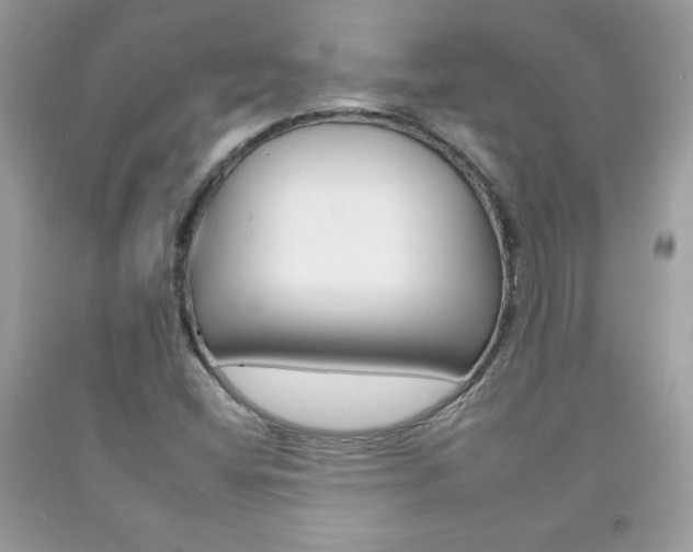 X0000092261404200709141016