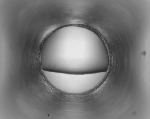 X0000092261405200709141016