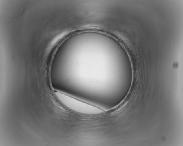 X0000092261406200709141016