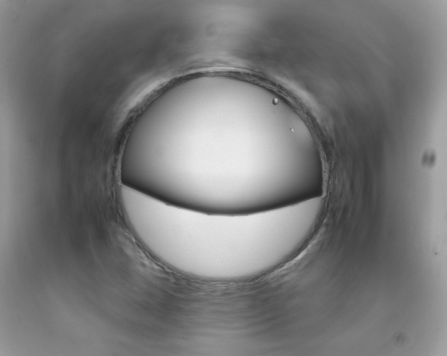 X0000092261407200709141016
