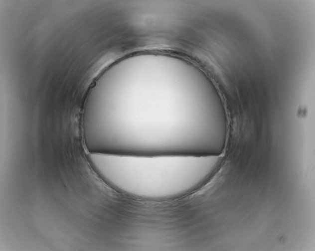 X0000092261409200709141016