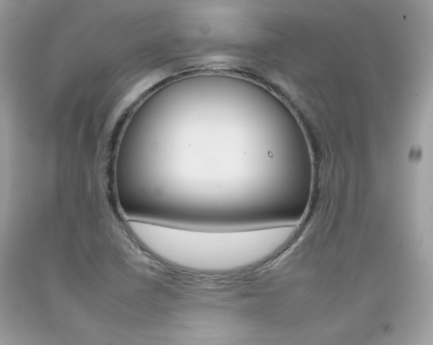 X0000092261410200709141016