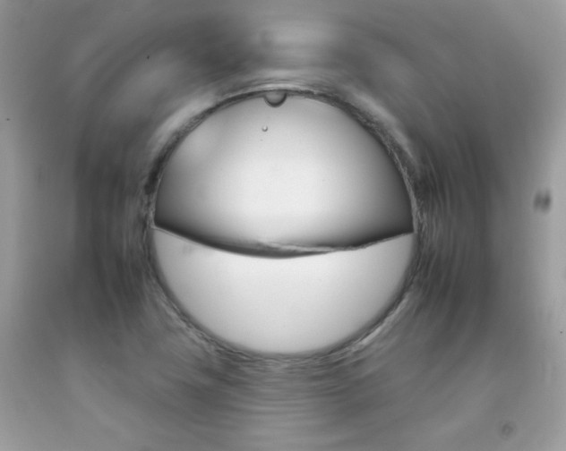 X0000092261411200709141016