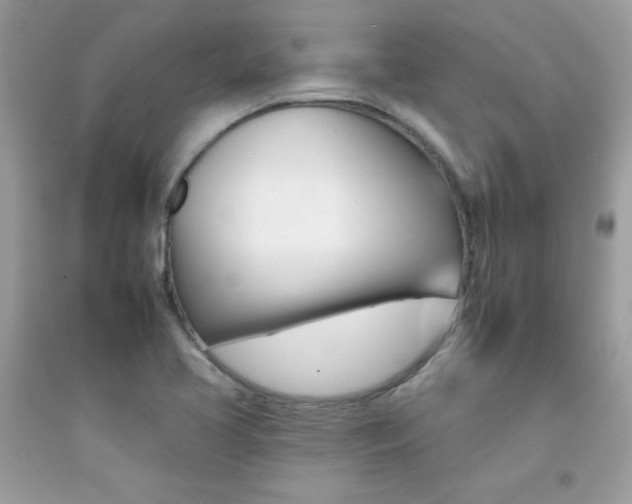 X0000092261413200709141016