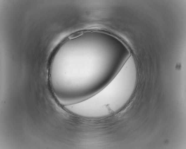 X0000092261414200709141016