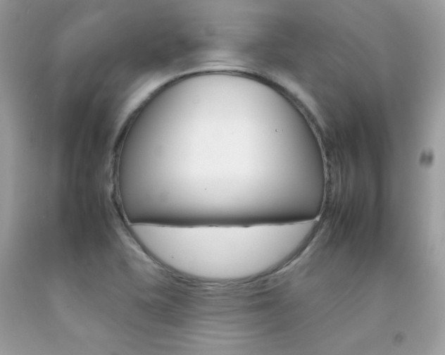 X0000092261415200709141016