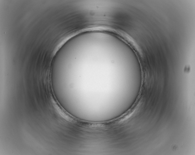 X0000092261417200709141017