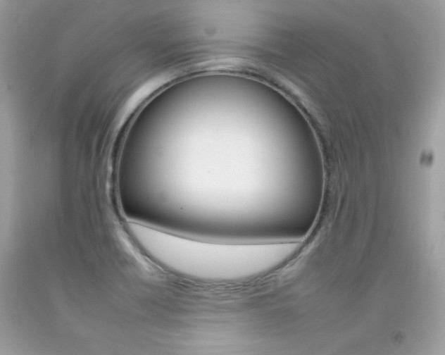 X0000092261418200709141017