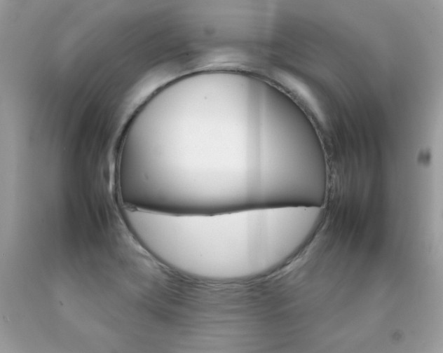 X0000092261419200709141017