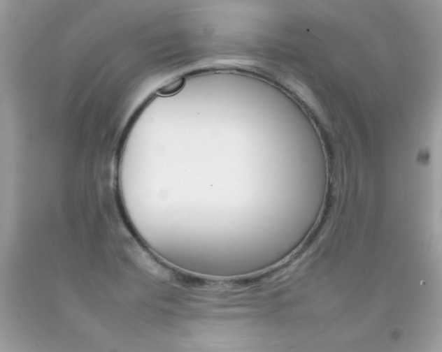 X0000092261420200709141017