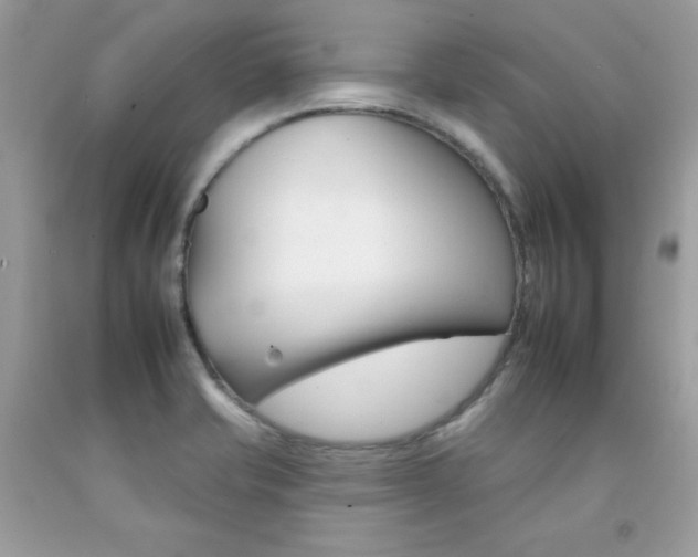 X0000092261421200709141017