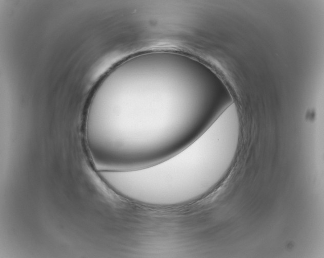 X0000092261422200709141017