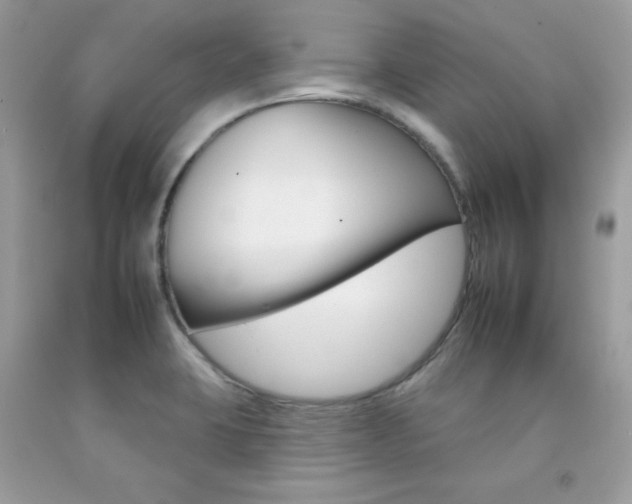 X0000092261423200709141017