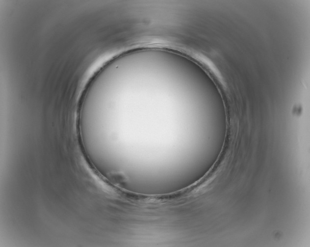 X0000092261424200709141017
