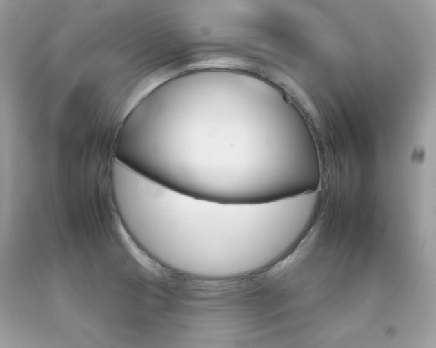 X0000092261425200709141017