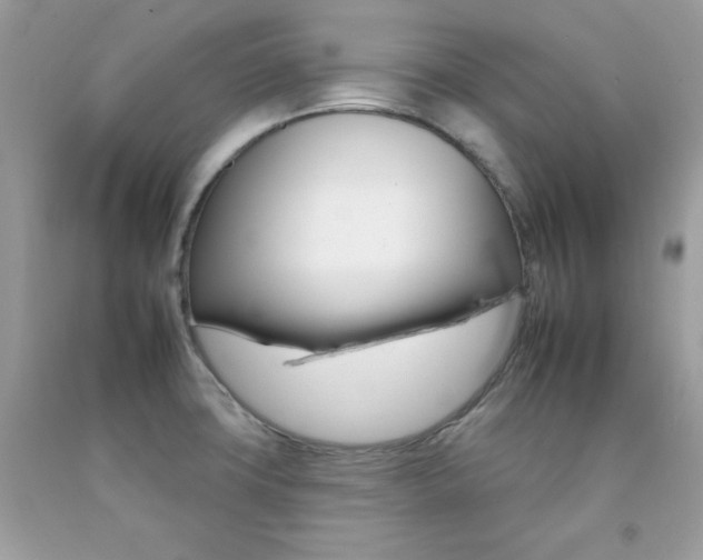 X0000092261427200709141017
