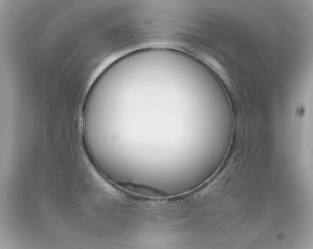 X0000092261428200709141017