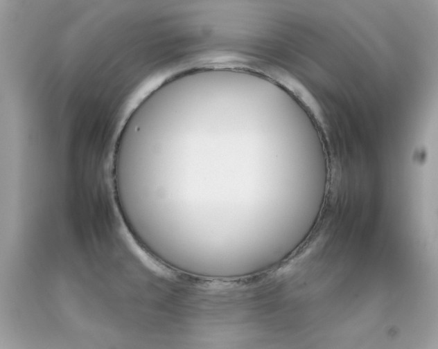 X0000092261429200709141017