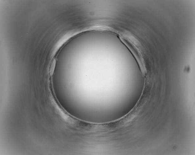 X0000092261430200709141017