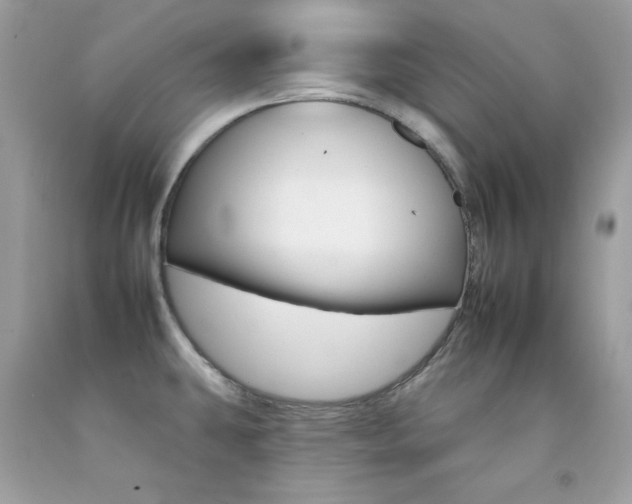 X0000092261431200709141017